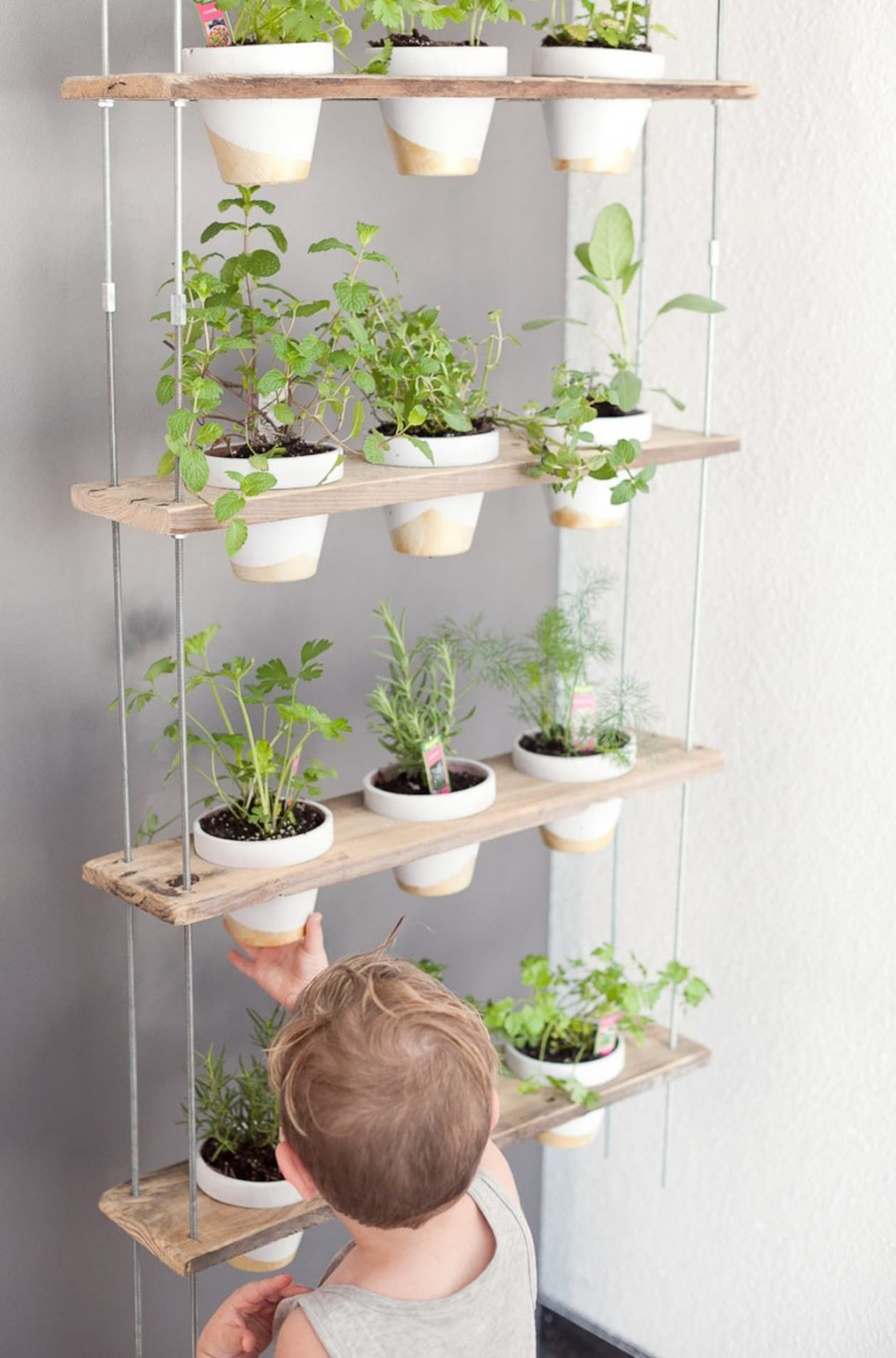 This DIY Herb Wall Is the Most Stylish Way to Add Green to Your