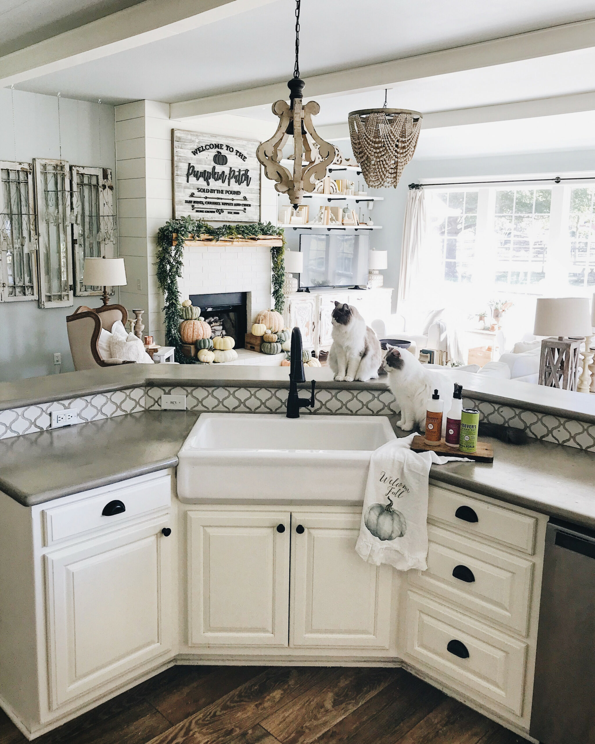 Inexpensive Farmhouse Hacks - DIY Concrete Counters and Faux Farm