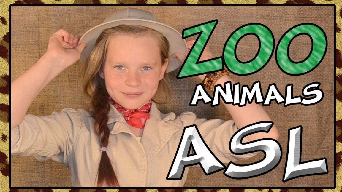 Learn Zoo Animals  American Sign Language