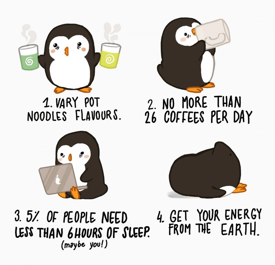 littlewadoo  Cute penguins, Penguin drawing, Study motivation