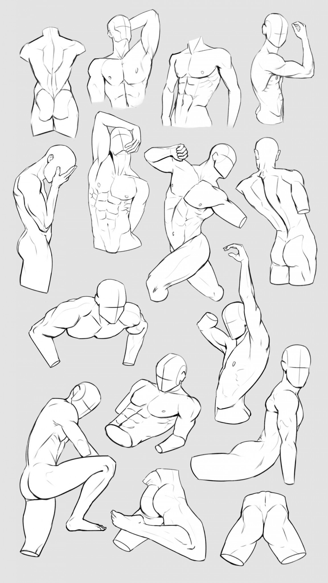 Male Anatomy Poses by Lockwouldart on DeviantArt