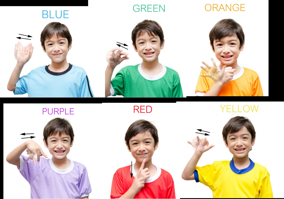 Sign Language Color Group - Creative Corner Child Care