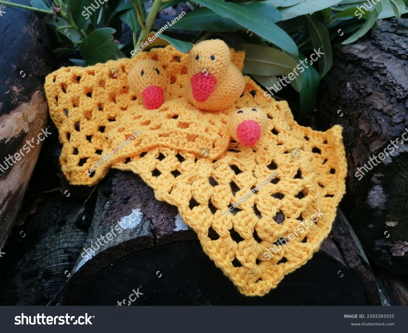 Crochet Duck Baby Clothes Danish Nature Stock Photo