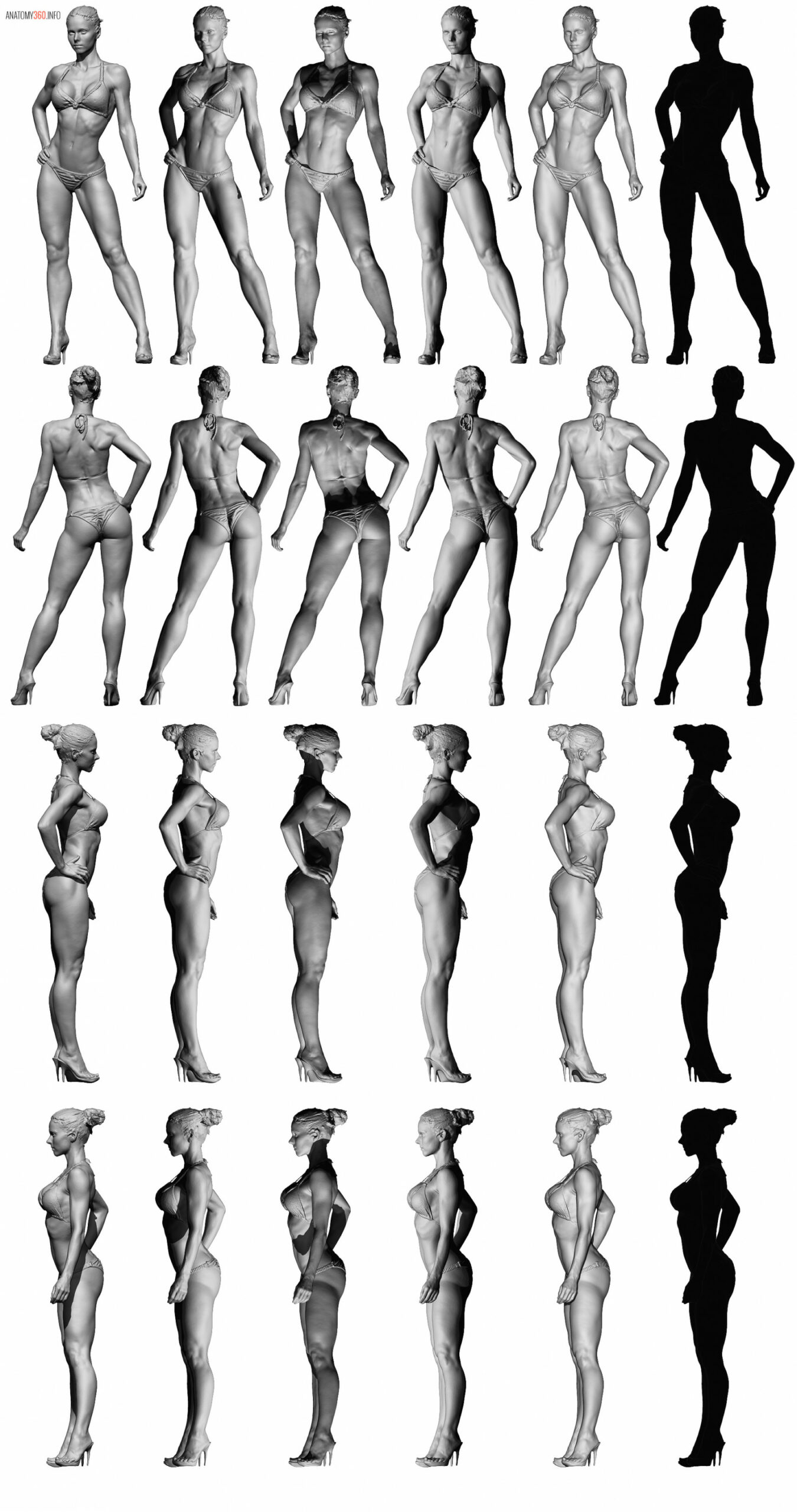 Female Body Reference - Anatomy