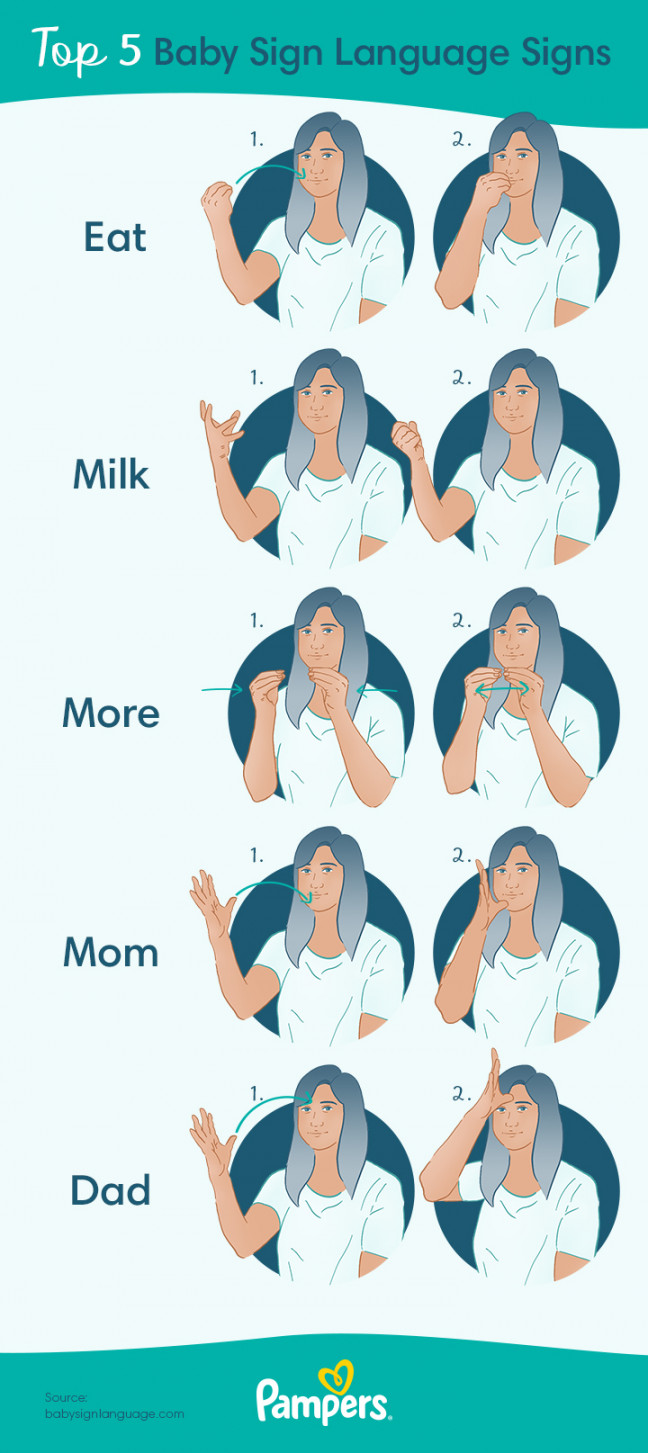 How To Teach Baby Sign Language: Signs and Tips  Pampers