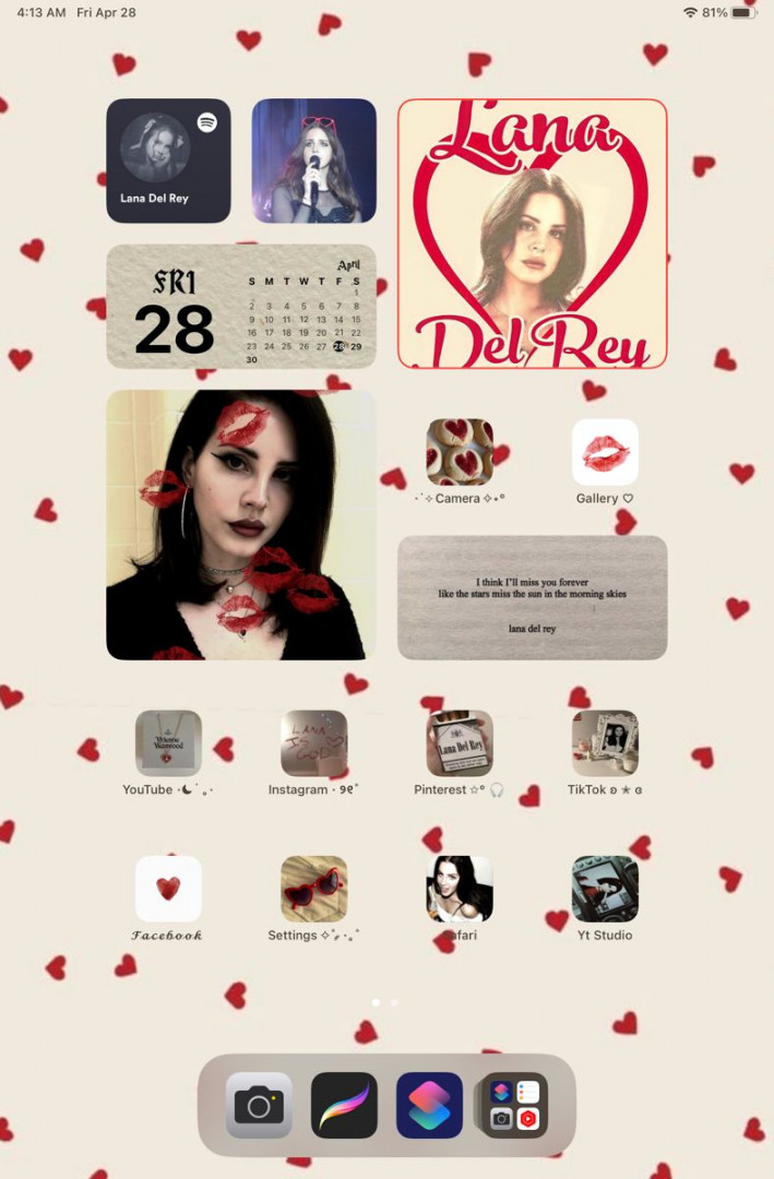 iPad Mini th gen Homescreen lana del Rey in   Lana del rey