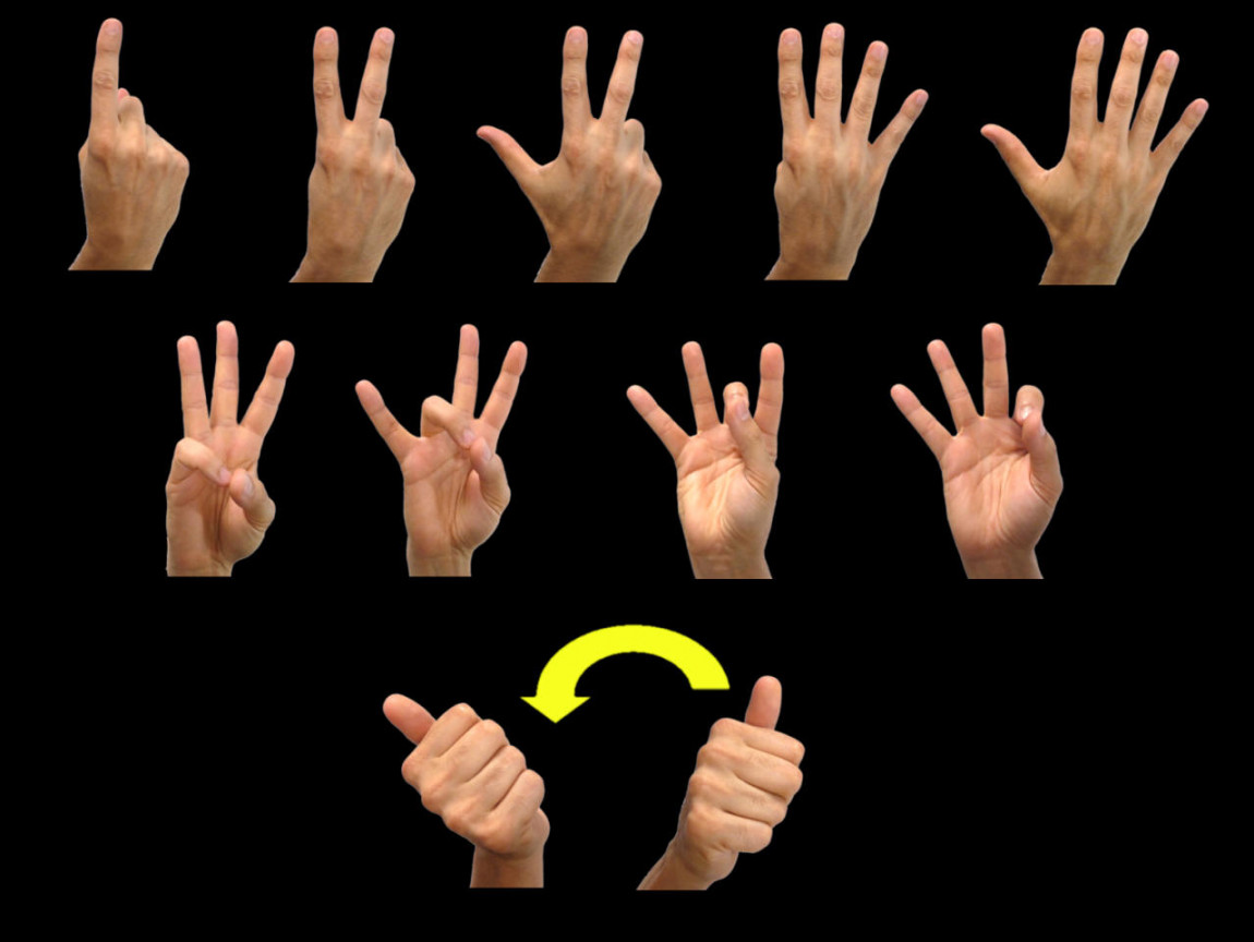 numbers" ASL American Sign Language