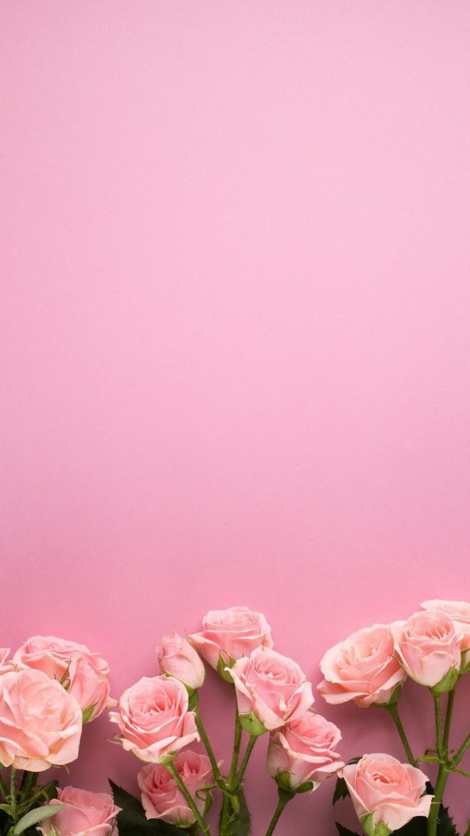 Pretty Pink Wallpapers For Phone - The XO Factor  Phone