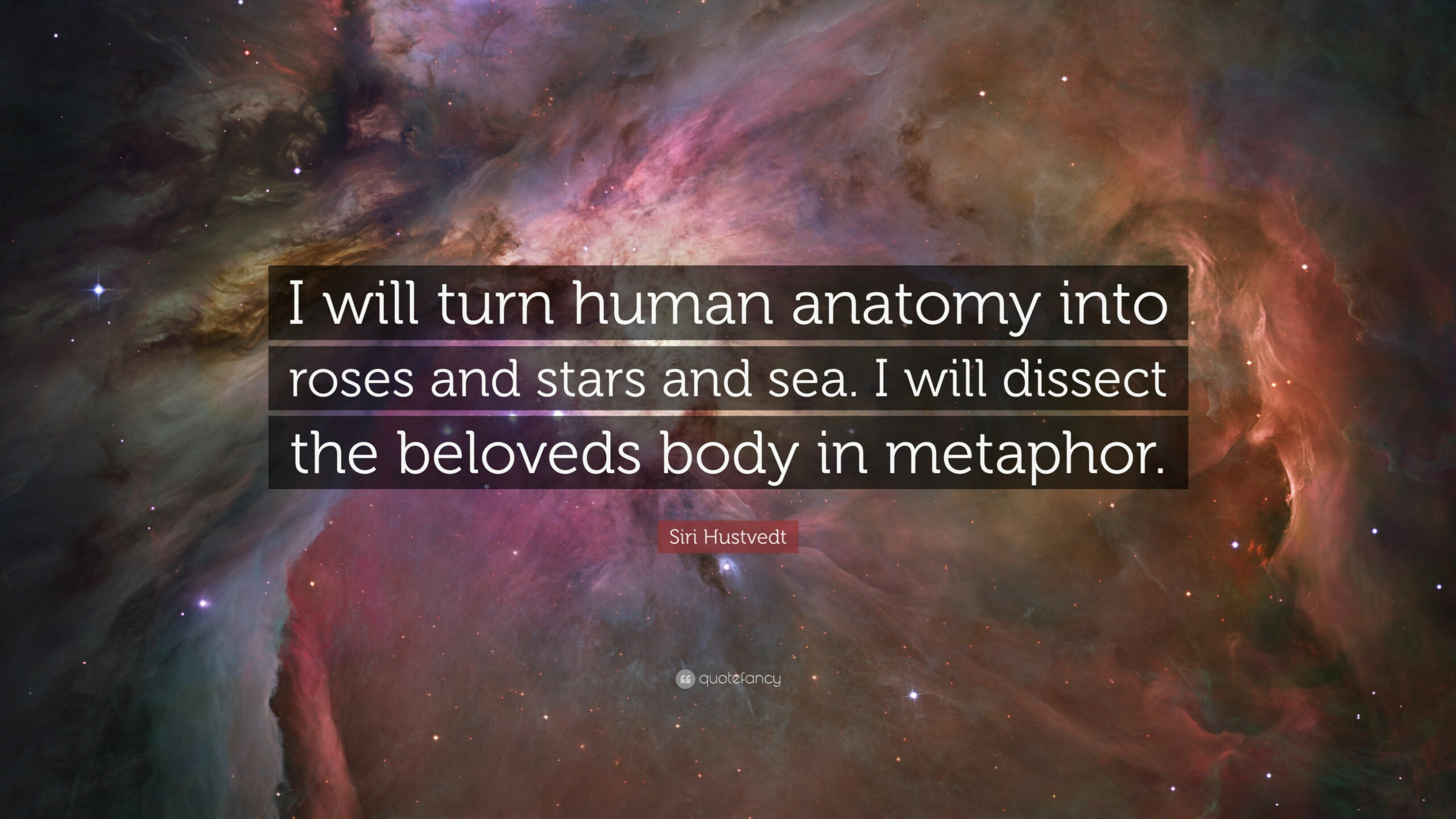 Siri Hustvedt Quote: “I will turn human anatomy into roses and