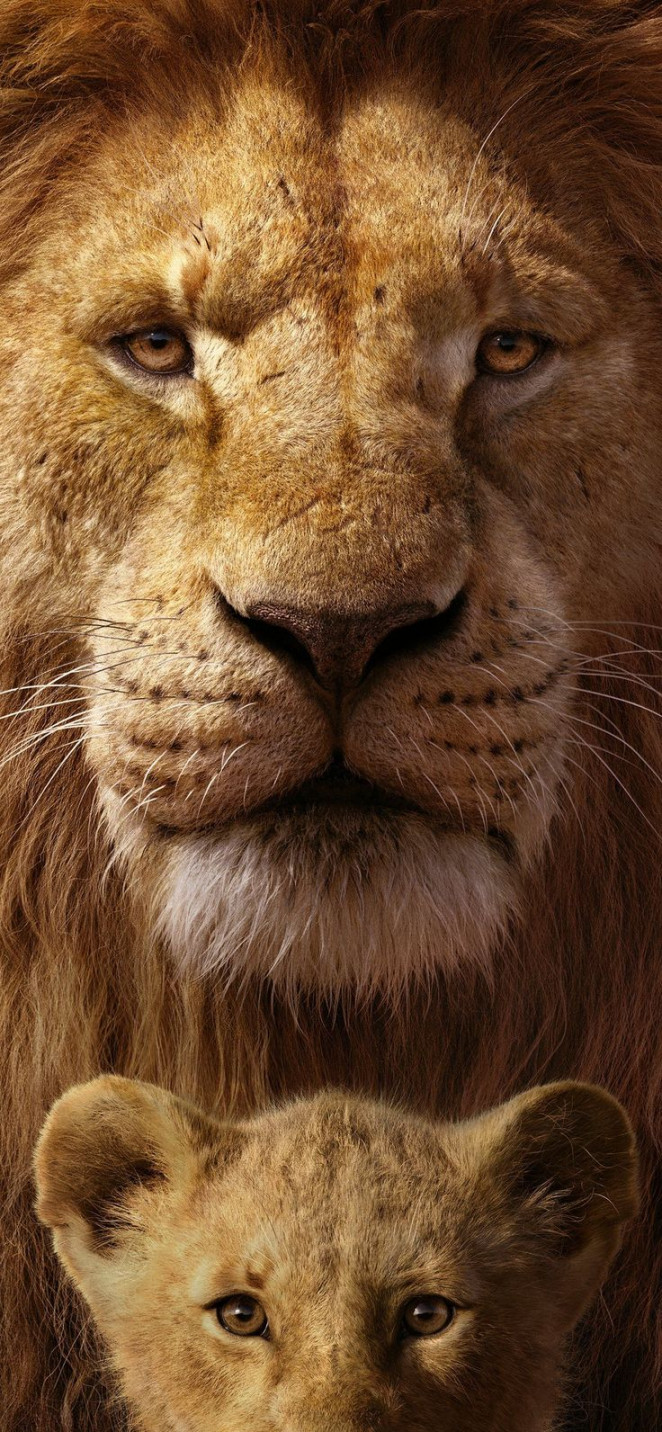 the lion king k iPhone  Wallpapers Free Download  Lion king