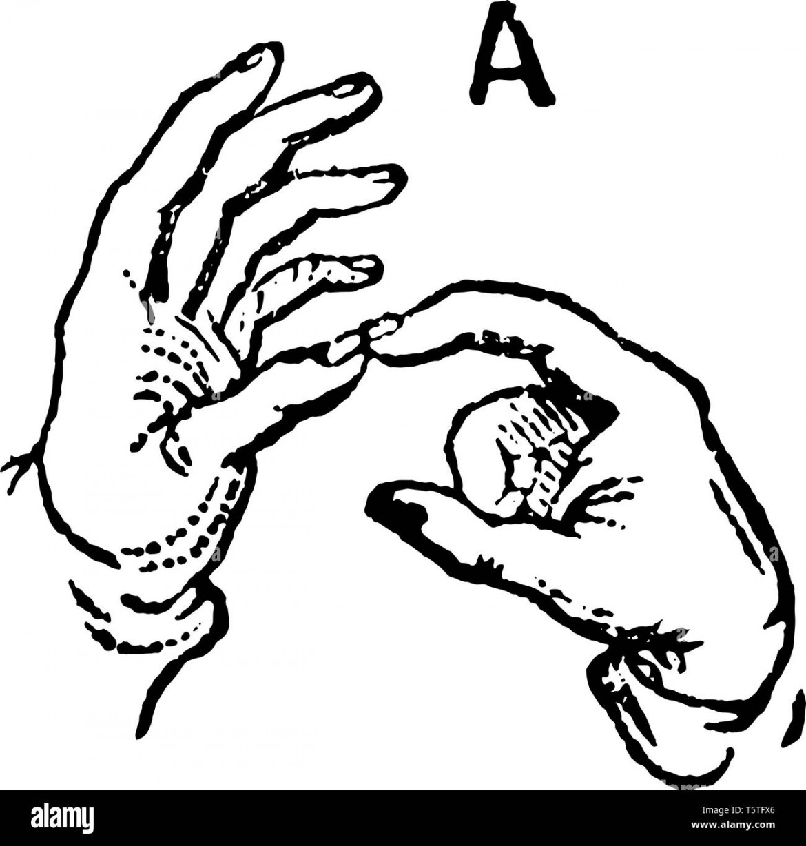 Two handed sign language hi-res stock photography and images - Alamy