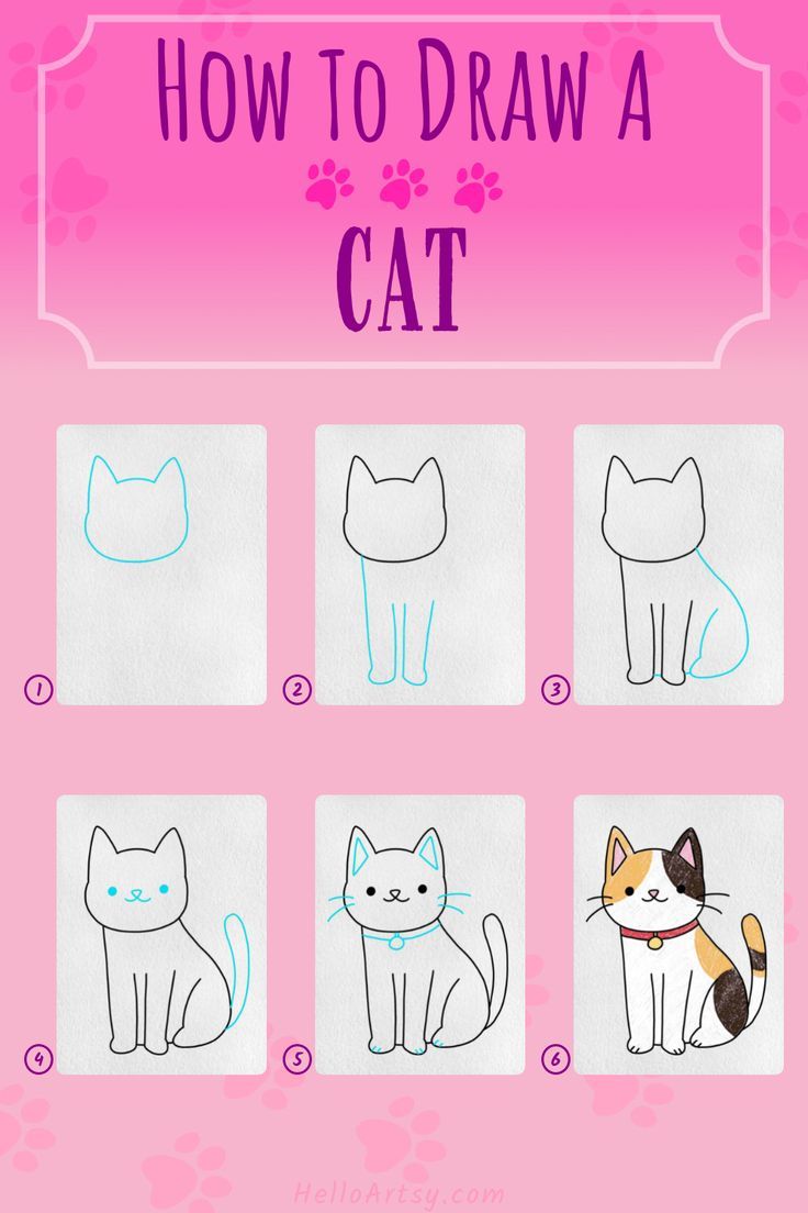 90 How To Draw A Cat 49