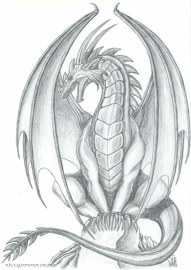 90 How To Draw A Dragon 77