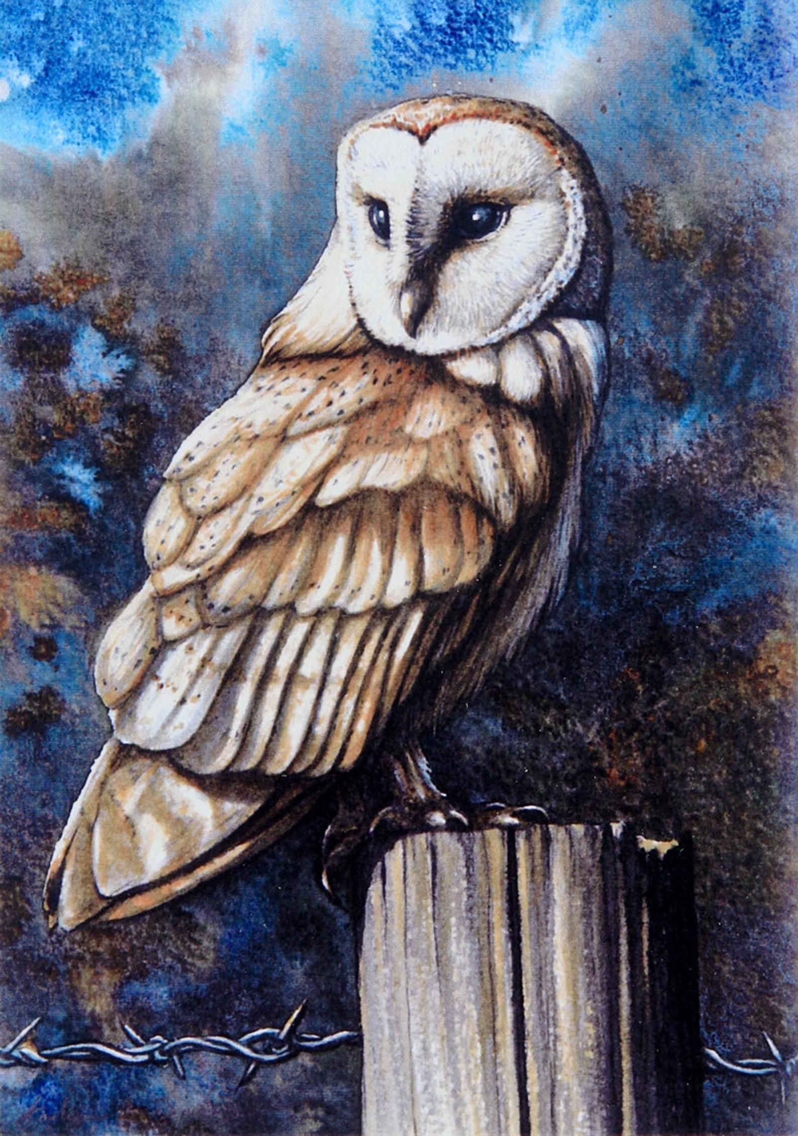 Barn Owl Drawing 50