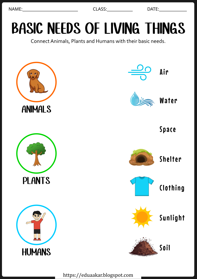 35 Basic Needs Worksheets For Kids Kindergarten