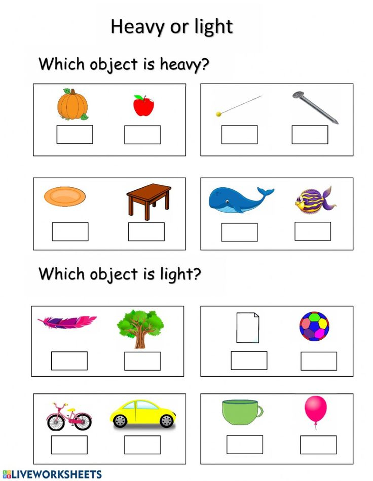 20 Heavy And Light Worksheets Kindergarten Printable