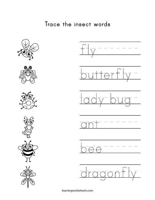 20 Insect Math Worksheets For Preschool