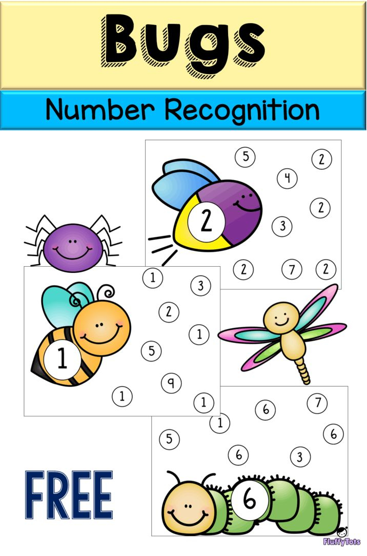 20 Insect Math Worksheets For Preschool