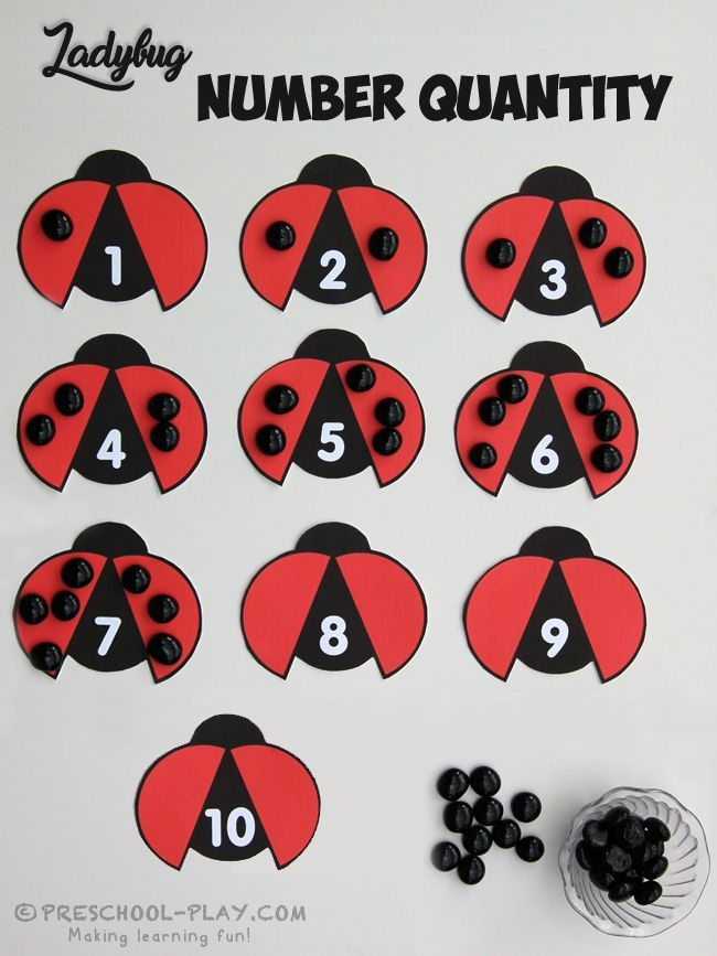 20 Insect Math Worksheets For Preschool