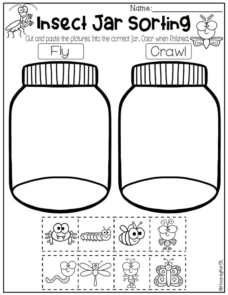 20 Insect Math Worksheets For Preschool