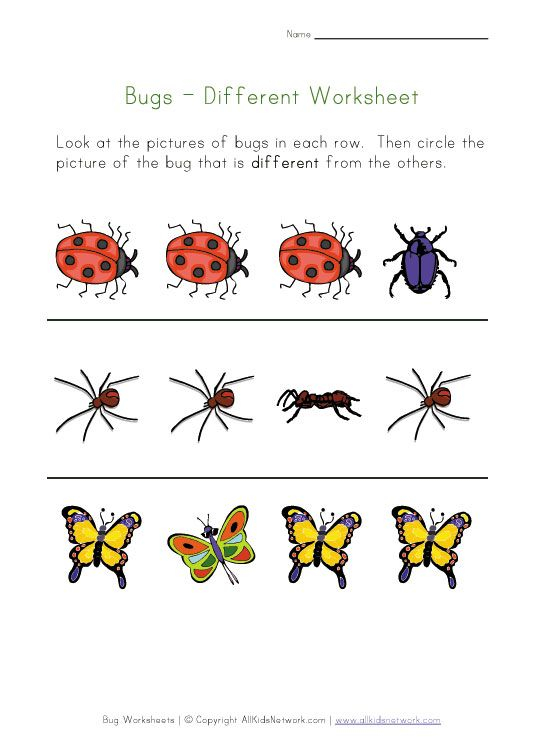 20 Insect Math Worksheets For Preschool