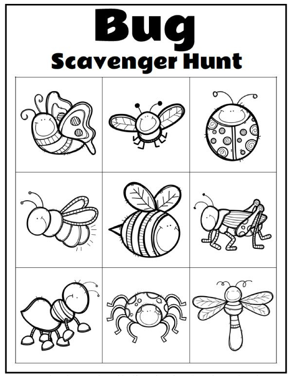 20 Insect Math Worksheets For Preschool