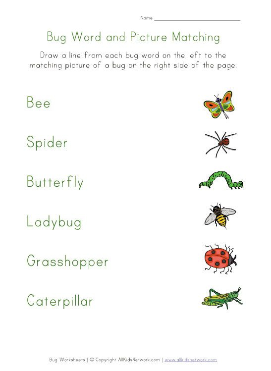 20 Insect Math Worksheets For Preschool