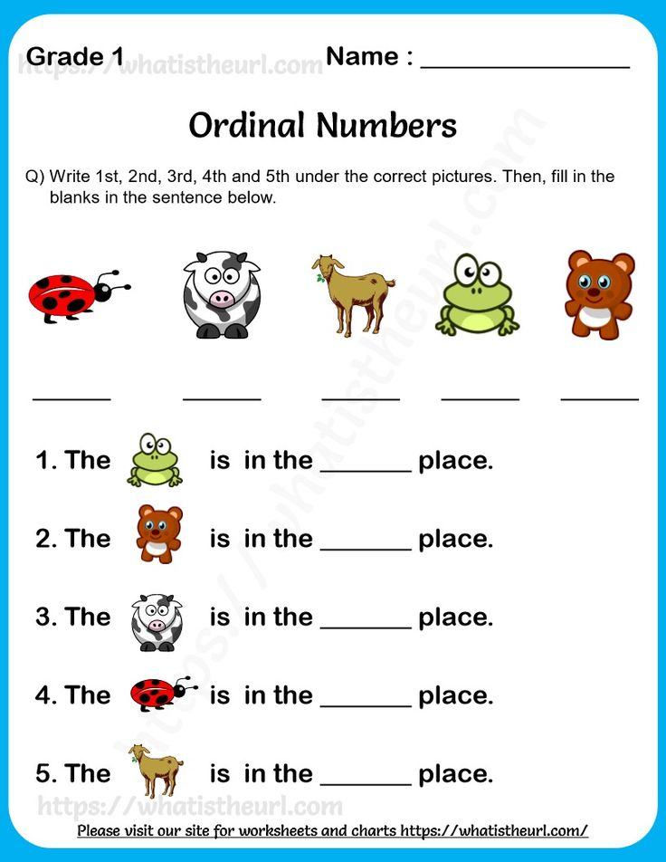 30 1St Grade Worksheets Cbse