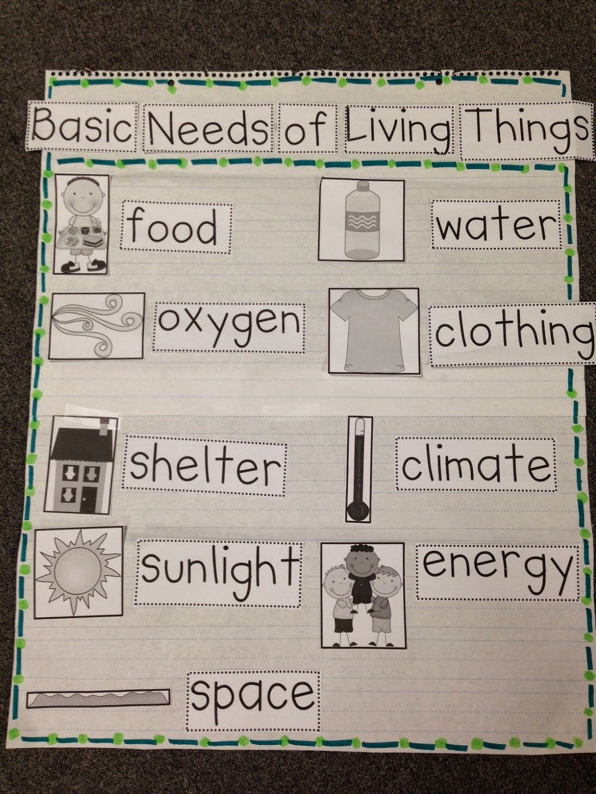 30 Basic Needs Worksheets For Kids Kindergarten