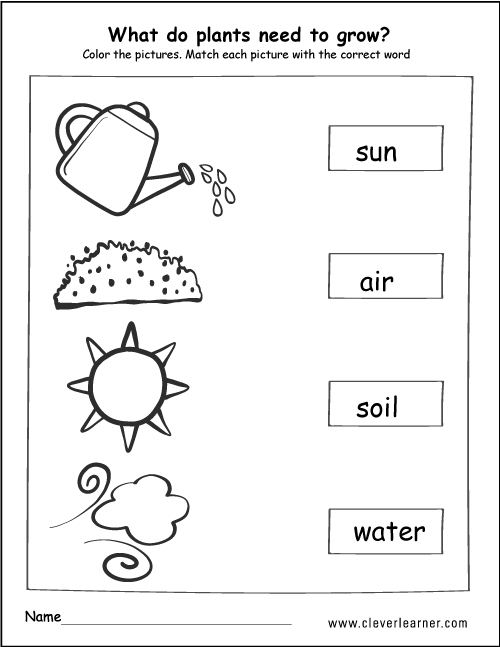 30 Basic Needs Worksheets For Kids Kindergarten