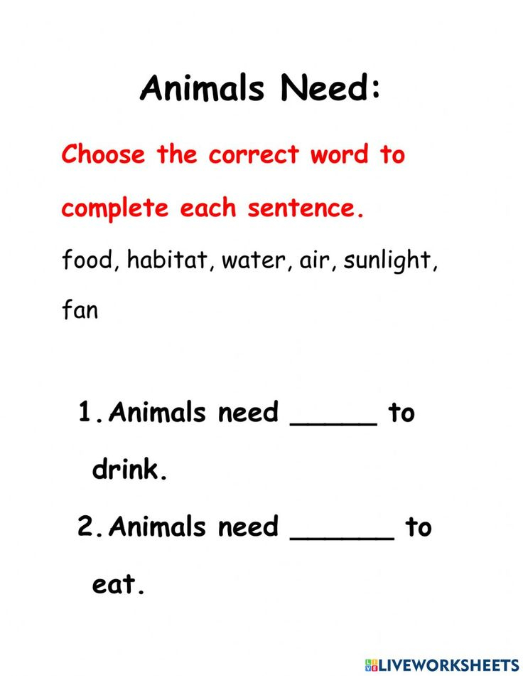 30 Basic Needs Worksheets For Kids Kindergarten