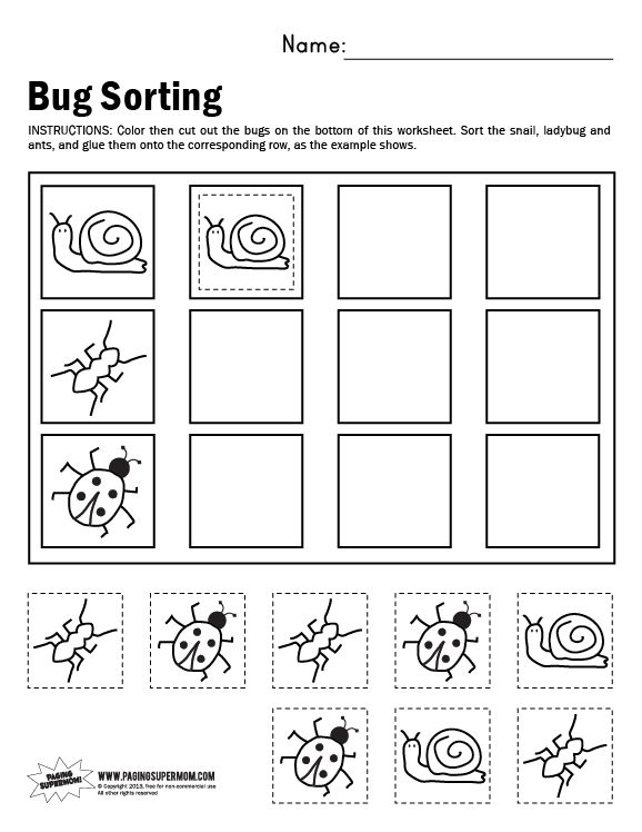 30 Insect Math Worksheets For Preschool