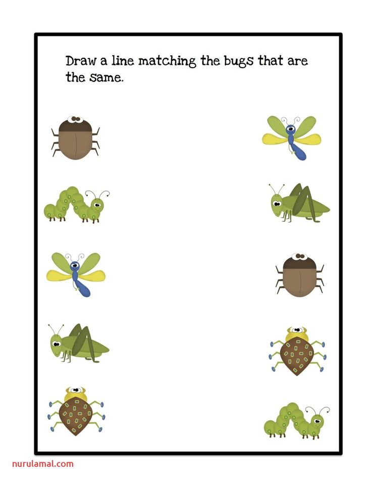 30 Insect Math Worksheets For Preschool