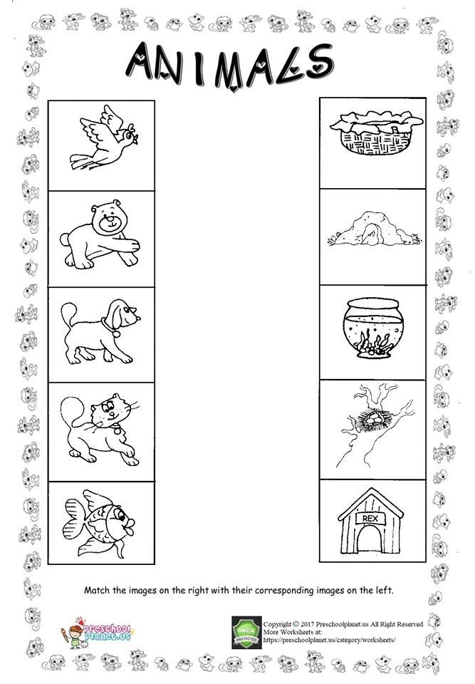 35 Basic Needs Worksheets For Kids Kindergarten