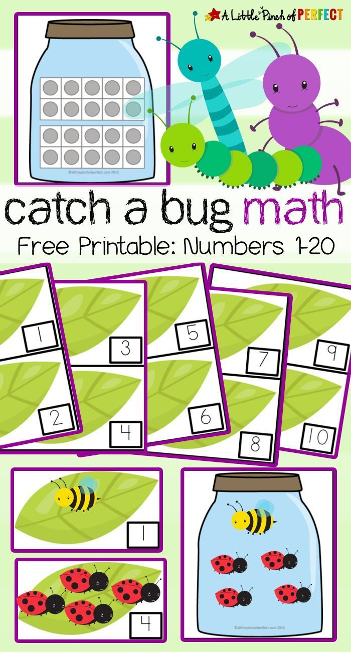 35 Insect Math Worksheets For Preschool