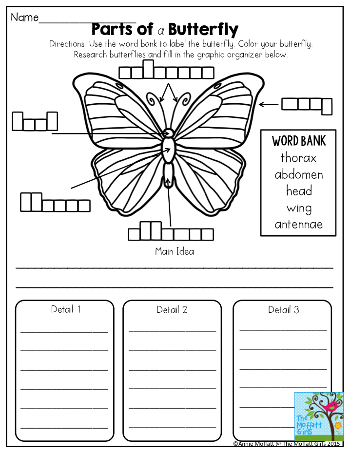 21 2Nd Grade Worksheets Writing