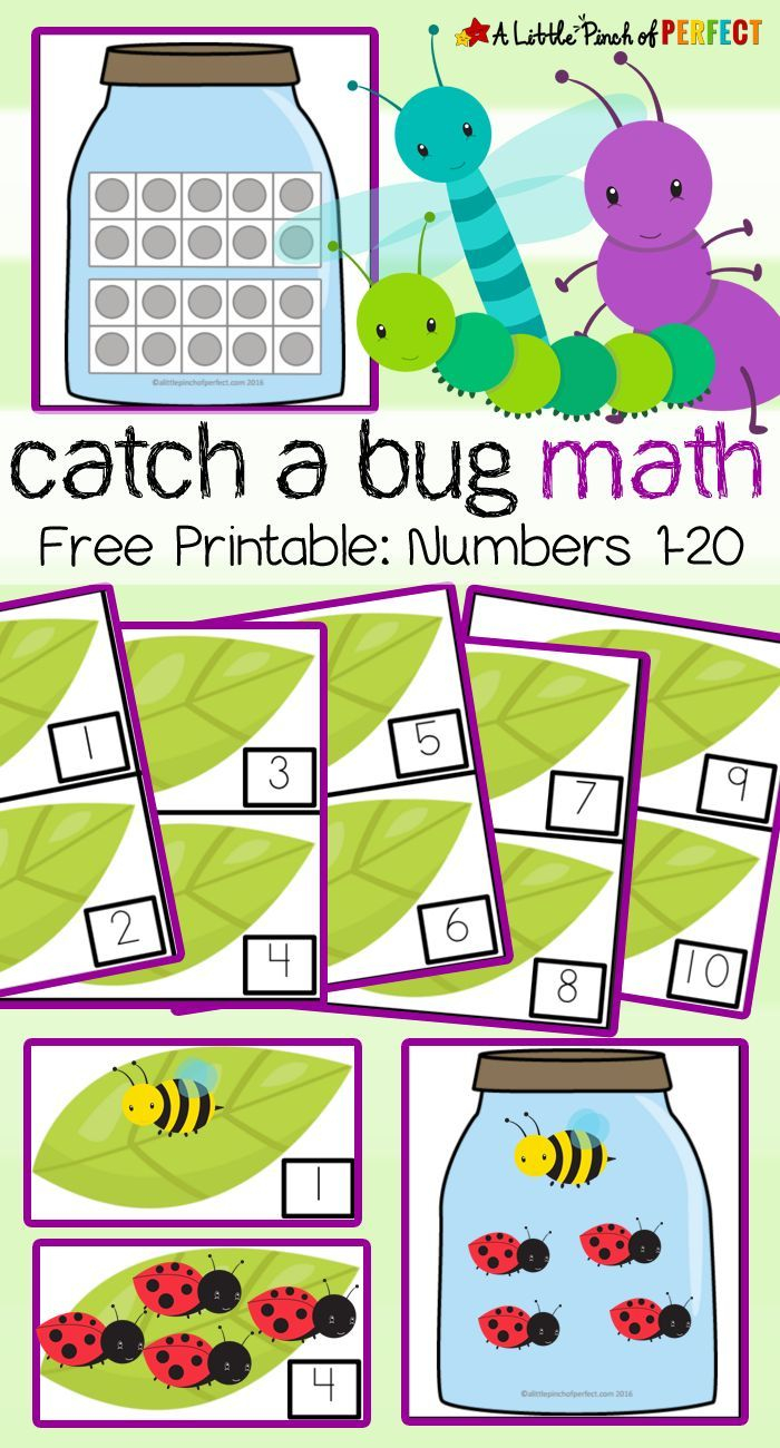 21 Insect Math Worksheets For Preschool