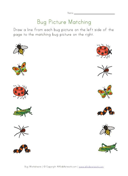 21 Insect Math Worksheets For Preschool