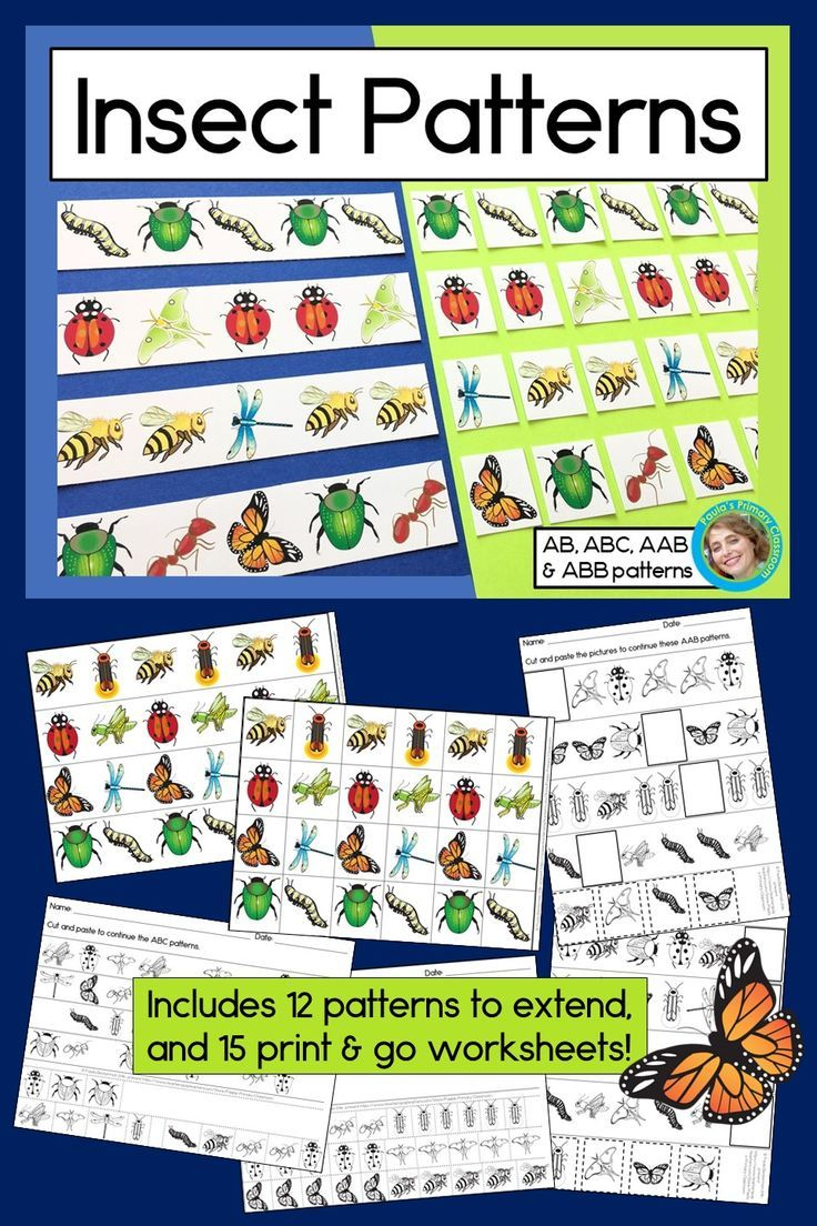 21 Insect Math Worksheets For Preschool