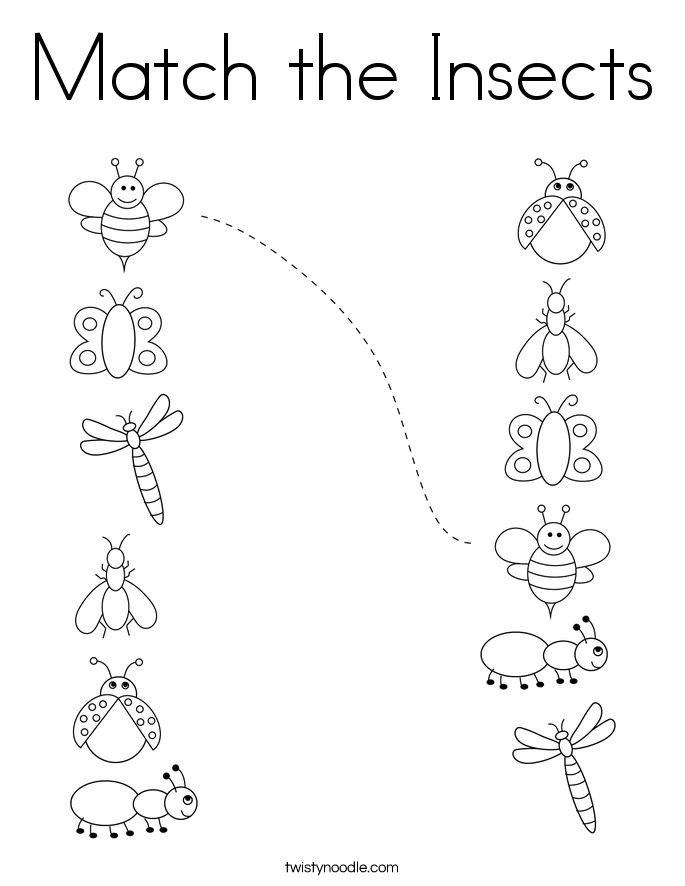 21 Insect Math Worksheets For Preschool